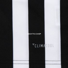 Besiktas Away Jersey 2017/18