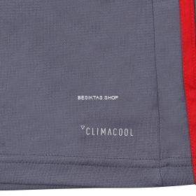 Besiktas Third Jersey 2017/18