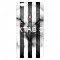 Besiktas iPhone 6-6S Plus Cover
