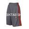 Besiktas Third Short 2017/18