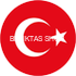 Turkish Flag